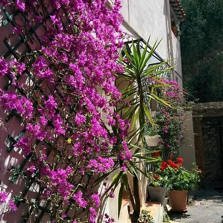 Coup De Coeur De La Cité Médiévale Сasa de vacaciones Hyères