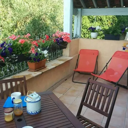 Coup De Coeur De La Cité Médiévale * Hyères