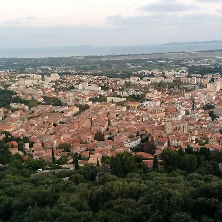 Coup De Coeur De La Cité Médiévale * Hyères